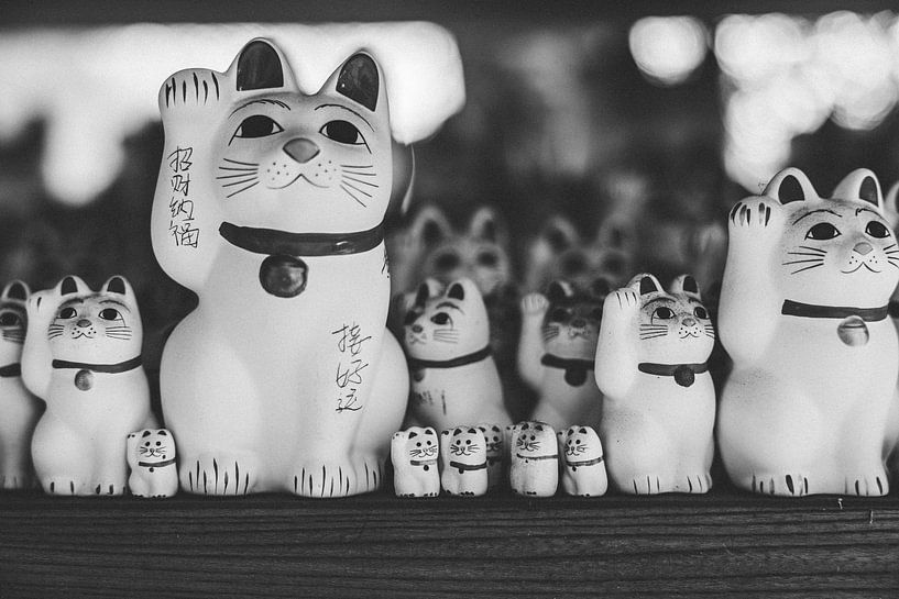 Glückskatzen von Tokio: Ein Symbol für Wohlstand und Glück von Ken Tempelers