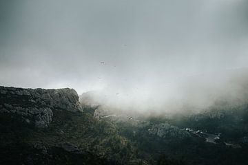 Vögel über einem nebligen Pass in den Calanques de Marseille von Joep van de Zandt