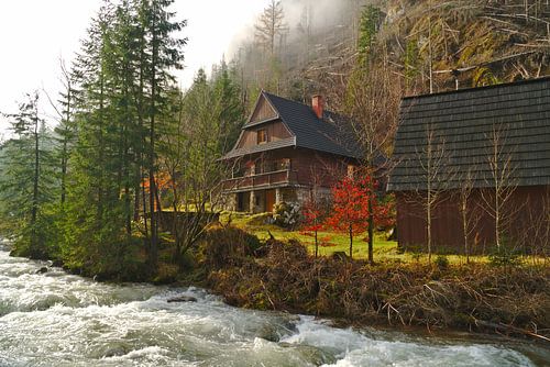 Forest ranger's house