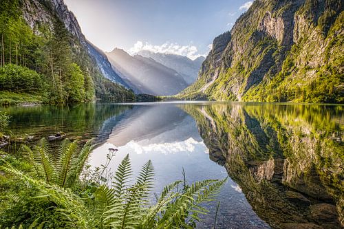 Lente in Obersee met Watzmann