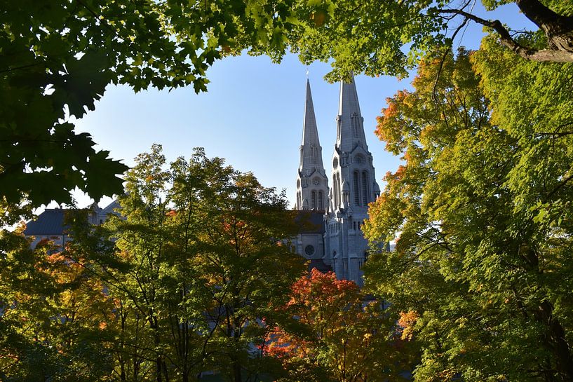 The Cathedral Park in autumn by Claude Laprise