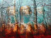 Spirits of the forest von Gabi Hampe Miniaturansicht