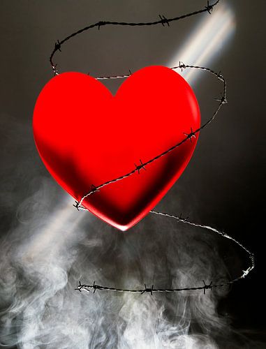 Herz umgeben von Stacheldraht