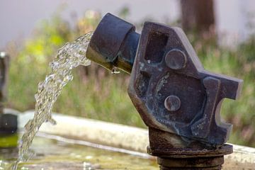 Water from Carl Laemmle fountain Laupheim