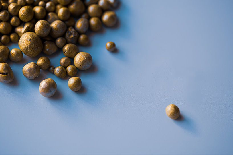 unicameral seed by Fotokamer