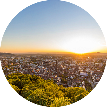 Uitzicht vanaf Schlossberg over Freiburg im Breisgau van Werner Dieterich