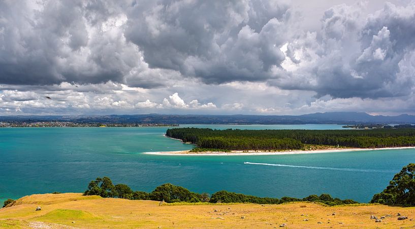Aerial view of Moturiki Islanda by Yevgen Belich