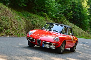Alfa Romeo Duetto Eggberg Classic 2019 by Ingo Laue