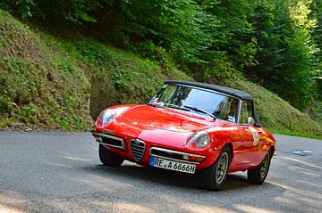 Alfa Romeo Duetto Eggberg Klassik 2019 von Ingo Laue