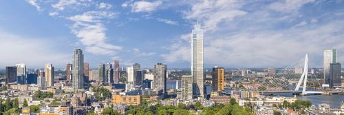 Grandioos Rotterdam in Panorama van Melanie Viola