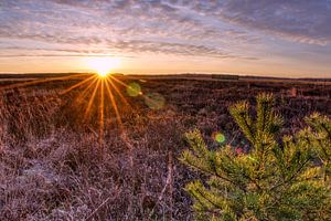 Zonsopkomst op Regte Heide van Joran Quinten