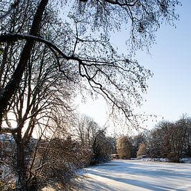 Blick auf den Leidse Rijn beim Park Oog in Al (Utrecht) im Winter (stehend) von André Blom Fotografie Utrecht