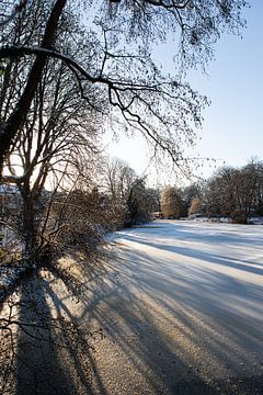 Zicht op de Leidse Rijn bij park Oog in Al (Utrecht) in de winter (staand)