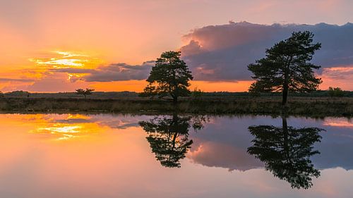Coucher de soleil à Holtveen, dans le parc national du Dwingelderveld