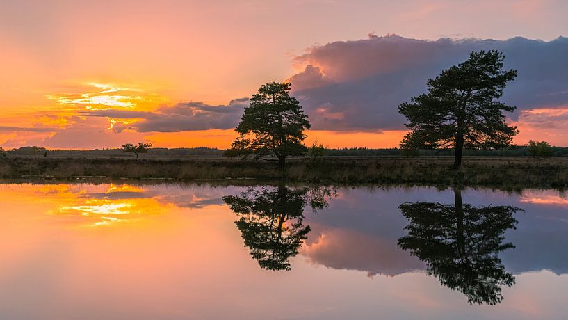 Sonnenuntergang in Holtveen, im Nationalpark Dwingelderveld von Henk Meijer Photography