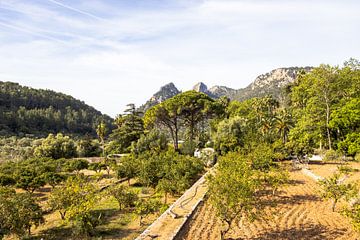 Blick von den Jardins d'Alfàbia auf die Landschaft | Mallorca | Reisefotografie von Kelsey van den Bosch