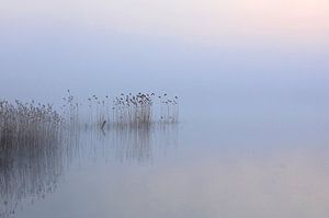Silence