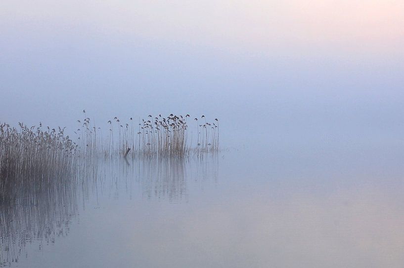 Silence par René Vos