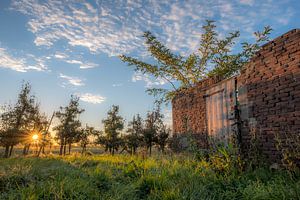 Abgelaufener Schuppen (Ruine) in Obstplantage