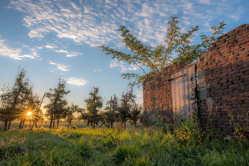 Expired shed (ruin) in fruit orchard by Moetwil en van Dijk - Fotografie