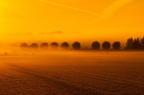 zonsopgang in een mistige morgen