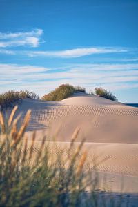 pristine dunes on the Danish North Sea van Florian Kunde