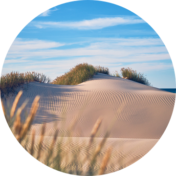 pristine dunes on the Danish North Sea van Florian Kunde