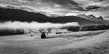 A summer morning in Bavaria in black and white