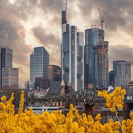 Gele bloemen op de Main in Frankfurt voor de skyline van Fotos by Jan Wehnert