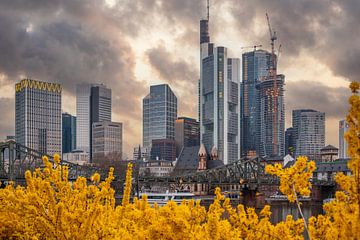 Fleurs jaunes sur le Main à Francfort devant la skyline sur Fotos by Jan Wehnert