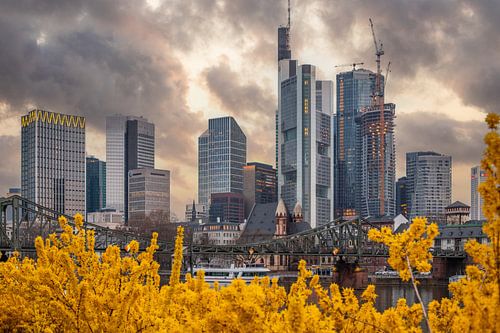 Gele bloemen op de Main in Frankfurt voor de skyline