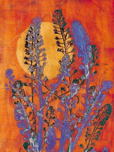 Fiery sunset in the garden