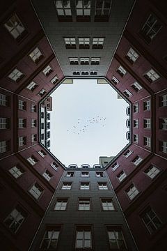 Berlin courtyard