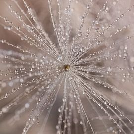 Ein strahlendes Quadrat mit Tropfen in natürlichen Farben von Marjolijn van den Berg