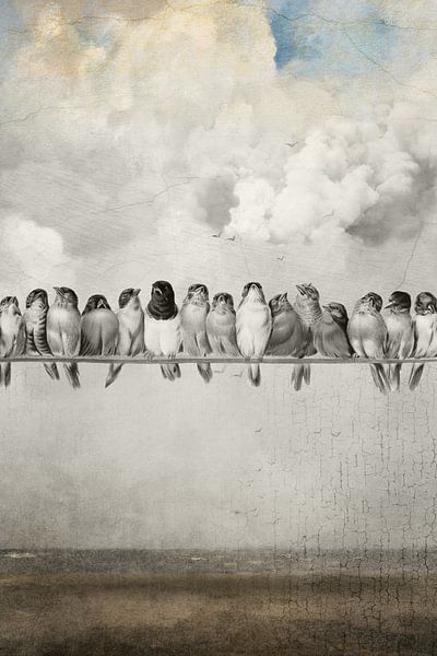 All the Pretty Birds par Marja van den Hurk