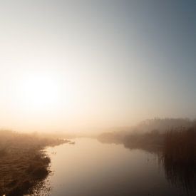 Mistige zonsopkomst in de Duinen van Goeree van Nature Laurie Fotografie