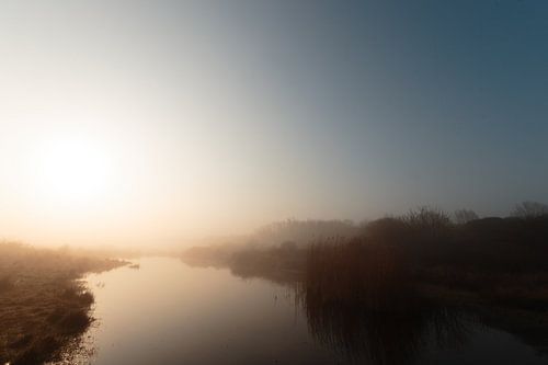 Foggy sunrise by Nature Laurie Fotografie