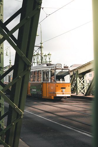 Vrijheidsbrug in Boedapest