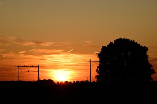 Letzter Zug von Kevin van Scherpenseel