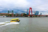 skyline