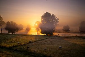 Misty Maas Atmosphärische Wanddekoration für ein ruhiges Interieur