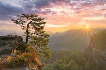 Sonnenaufgang in der Sächsischen Schweiz von Michael Valjak