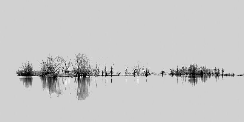 Stilte by John van Gelder