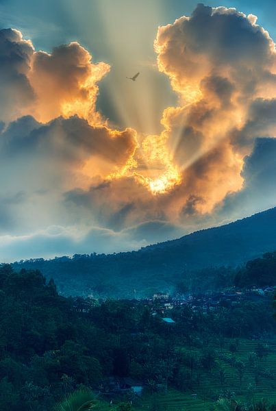 Flying in a Blue dream by Ardi Mulder