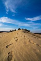 Dune with Footsteps