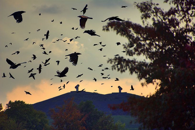 Bergvogels van Edgar Schermaul