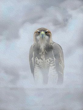 Majestic Harpy Eagle Misty Fog Impasto Wildlife Portrait by Ramy Salah Hefny