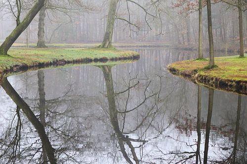 een weerspiegeling van de natuur