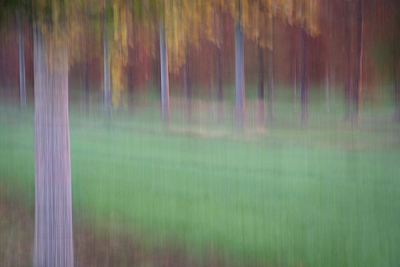 Orchard abstract 7 by Daniëlle Thijssen