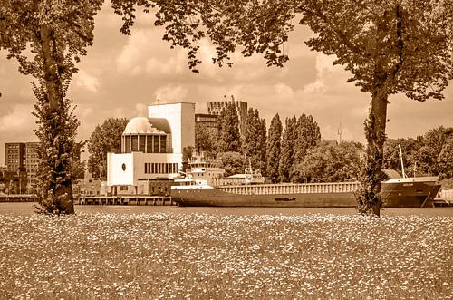 Rotterdam park and river - monochrome
